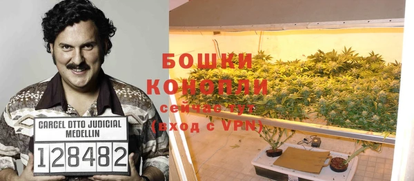 прущие крисы Балахна