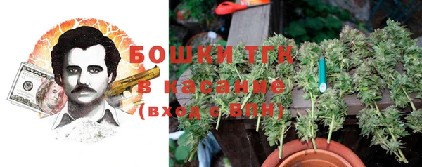 прущие крисы Балахна